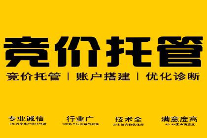竞价推广公司案例详解：某品牌广告效果提升的秘诀